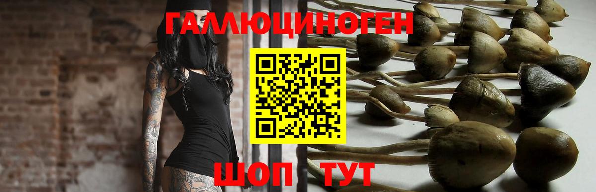 Новозыбков  Псилоцибиновые грибы Cubensis  Галлюциногенные грибы Psilocybe  Вход с VPN 